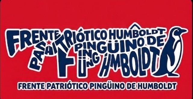 Paty Alvarez tweet media