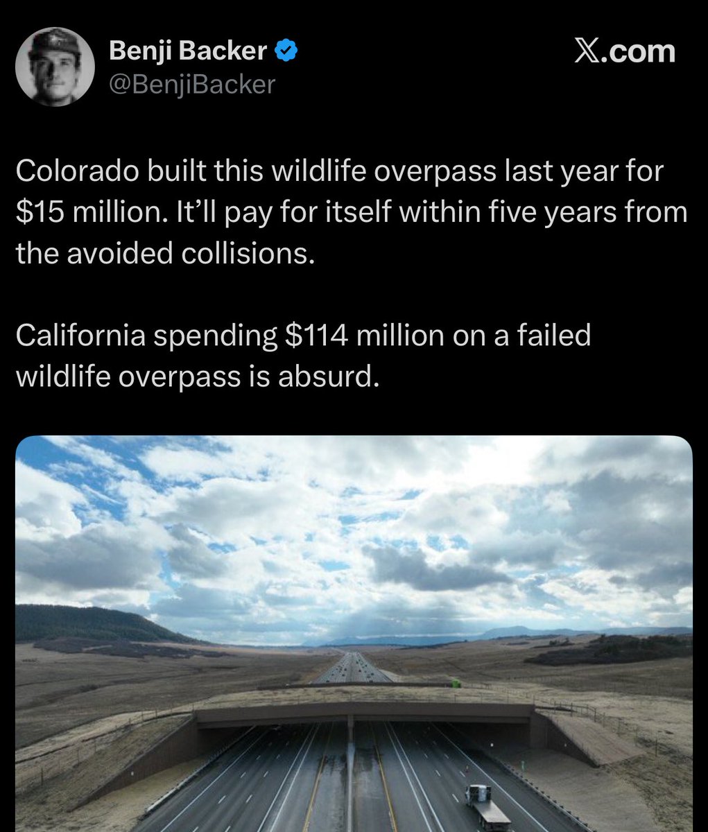 Kane 謝凱堯 tweet media