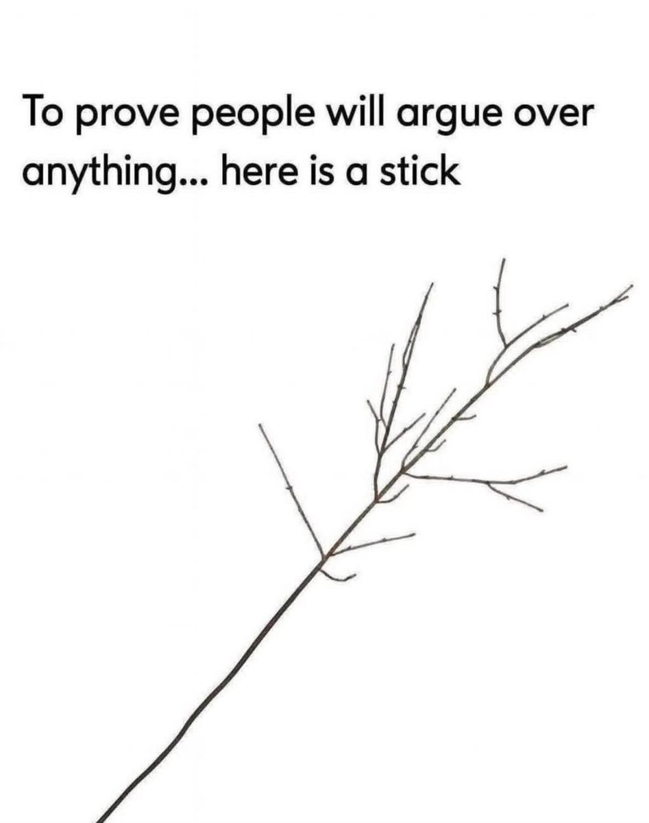 American Woman (Michele) 🇺🇸 tweet media