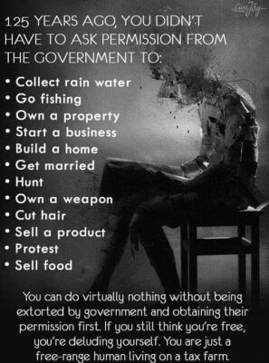 Timothy Bair™🛡️🇺🇸🍊MAGA MEGA RESISTANCE🇺🇸🍊 tweet media