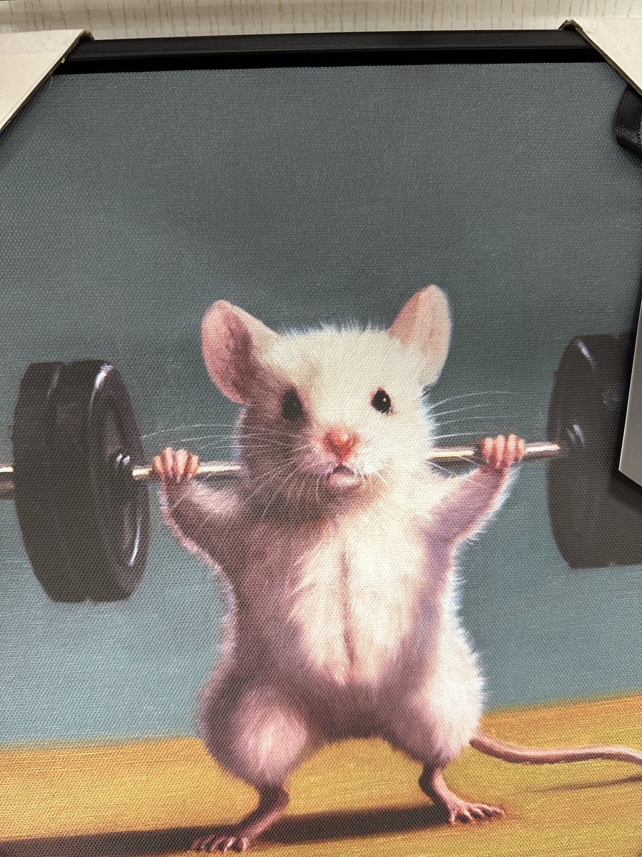 annabelle :3 tweet media