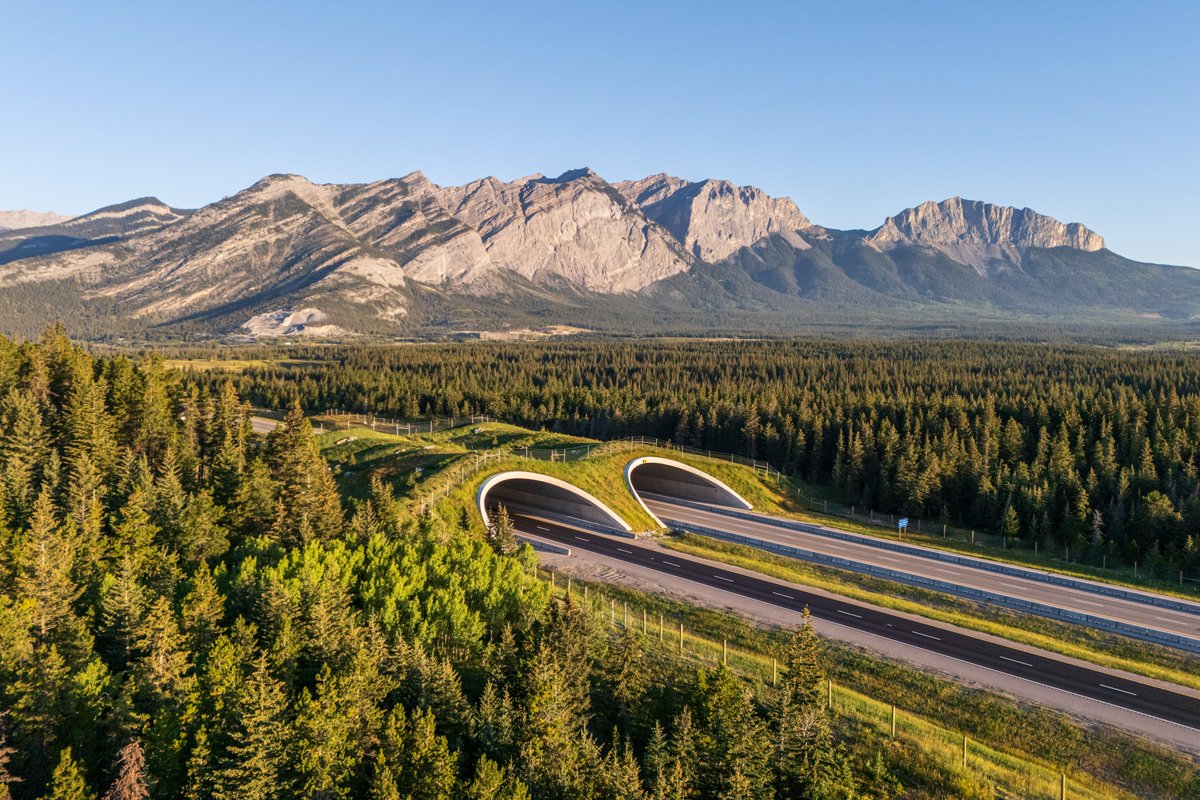 Benji Backer tweet media