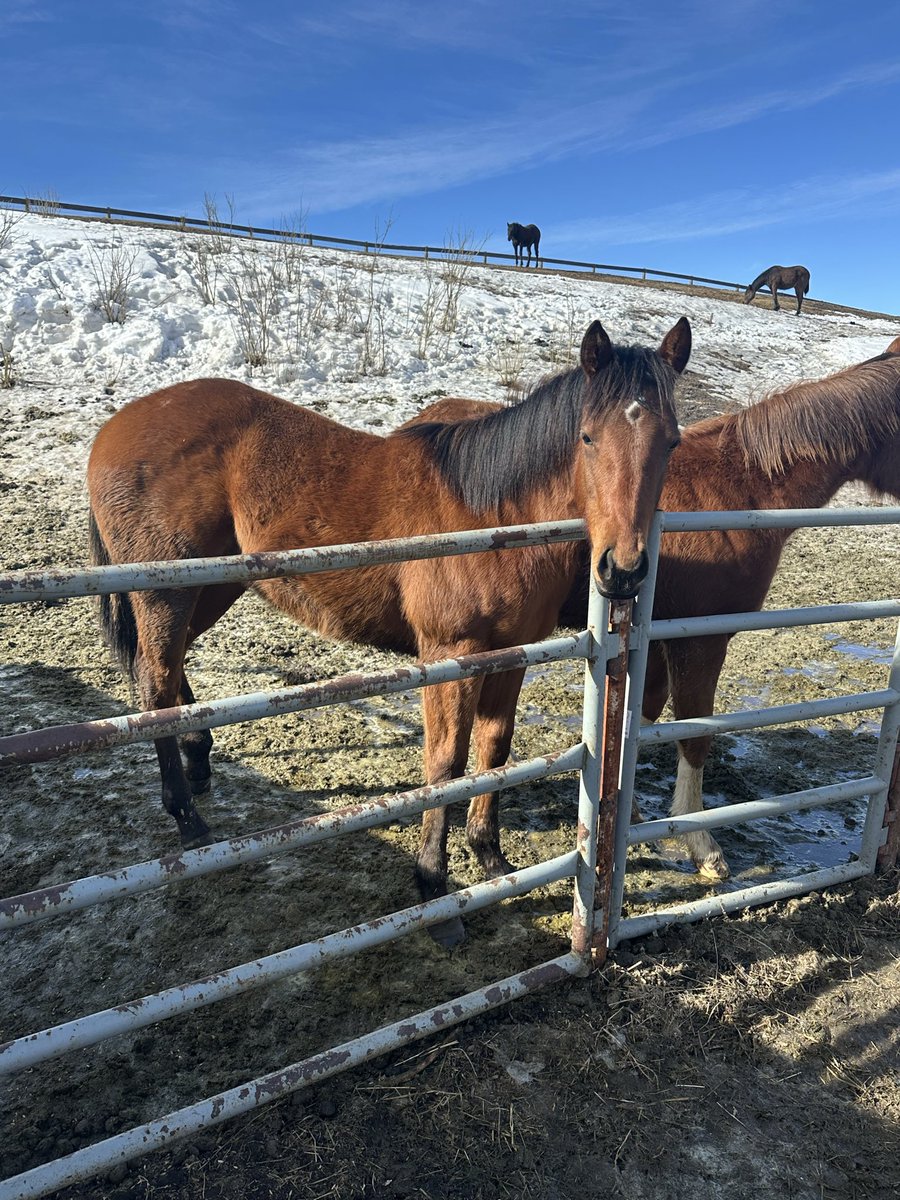 Jeffrey Rath tweet media