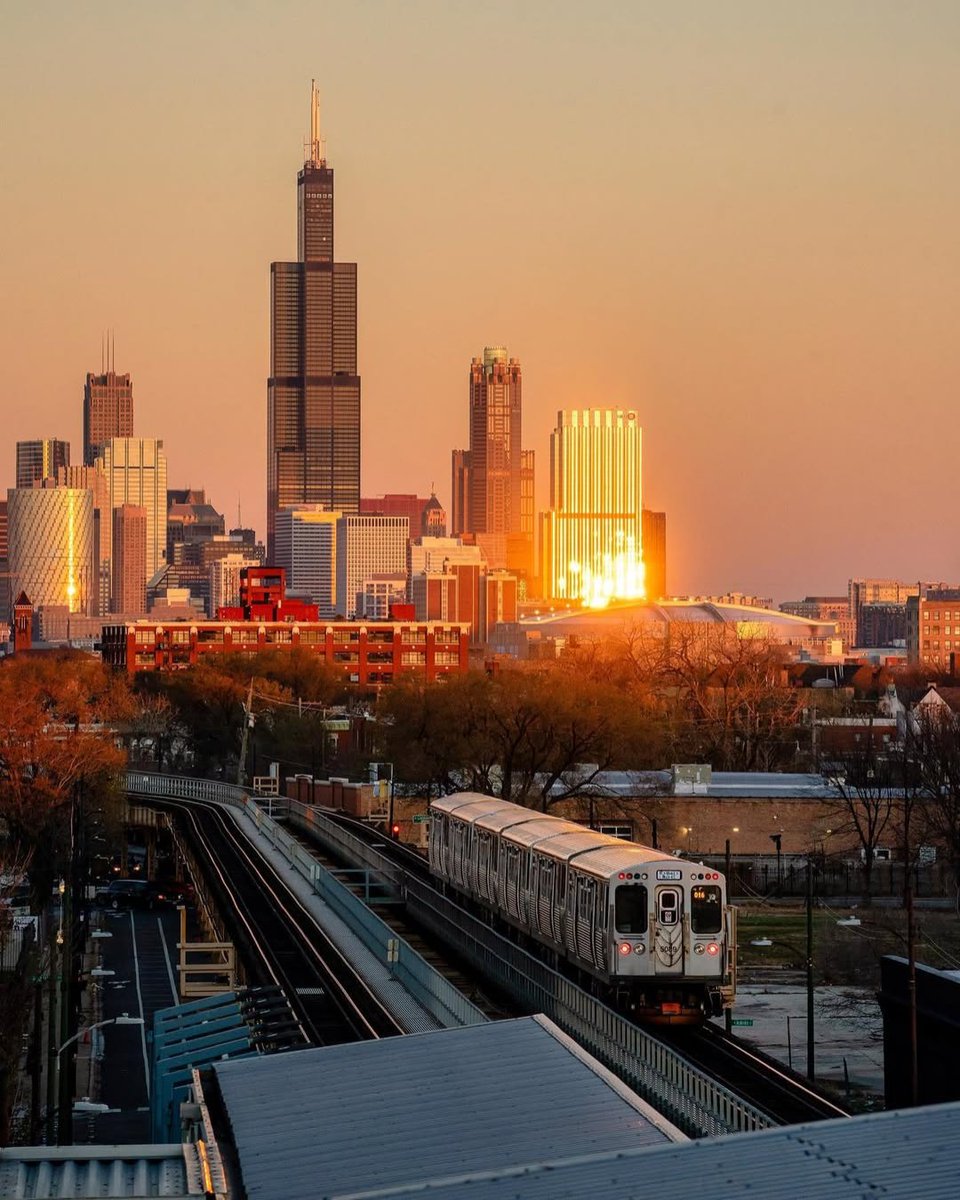Skydeck Chicago tweet media