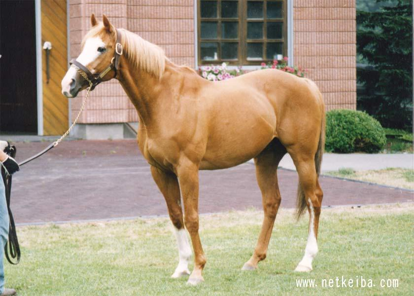 Tracen Academy Oficial 🎓 tweet media