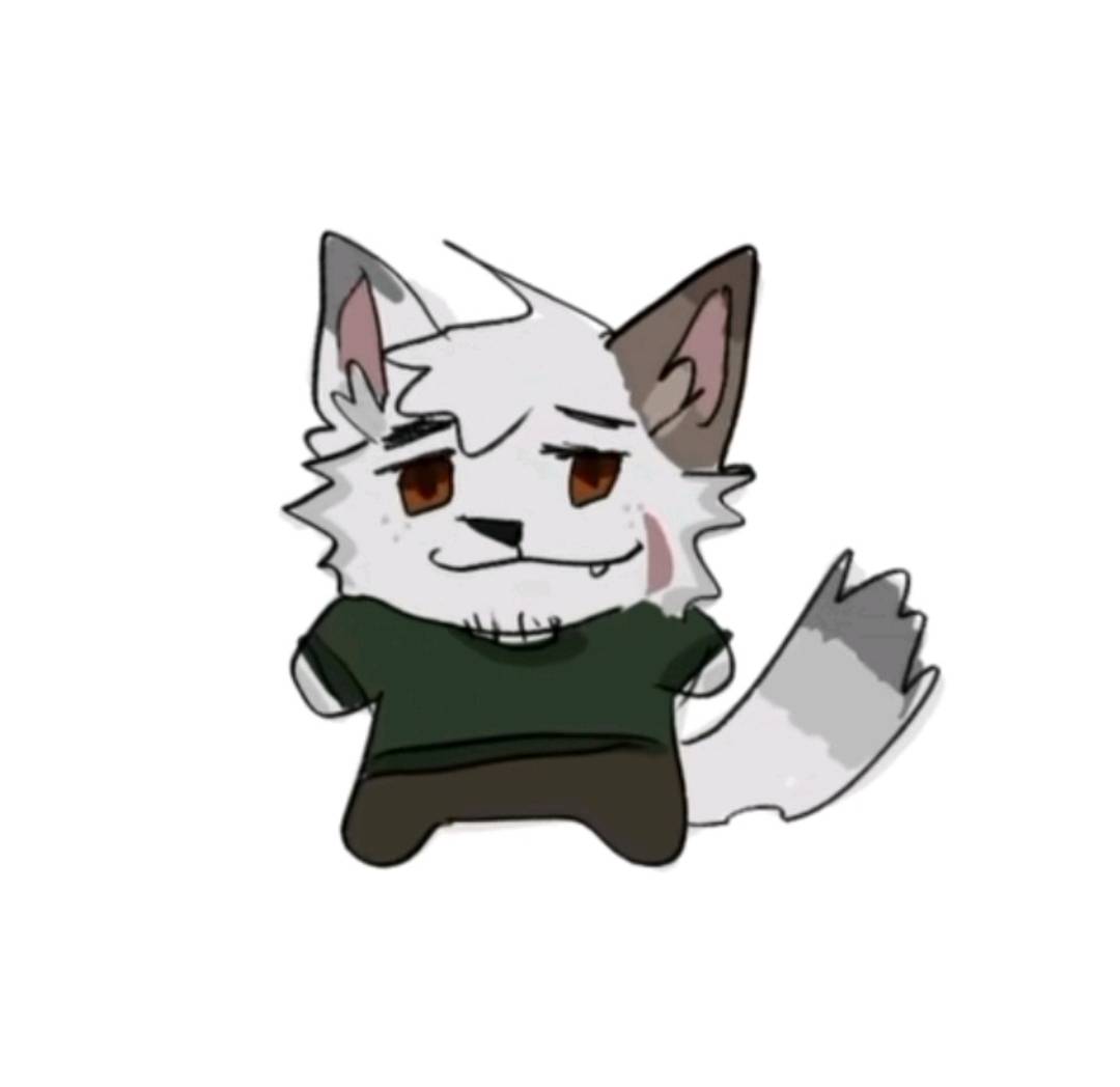 Daily Theo tweet media