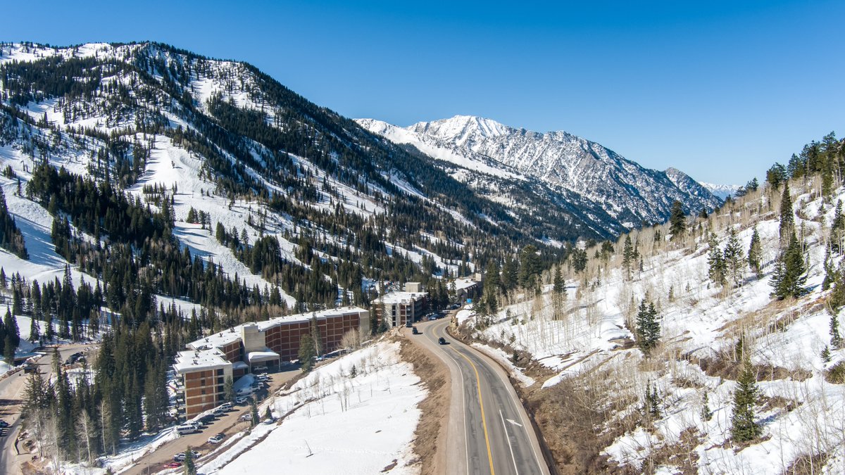 Dan Pope tweet media