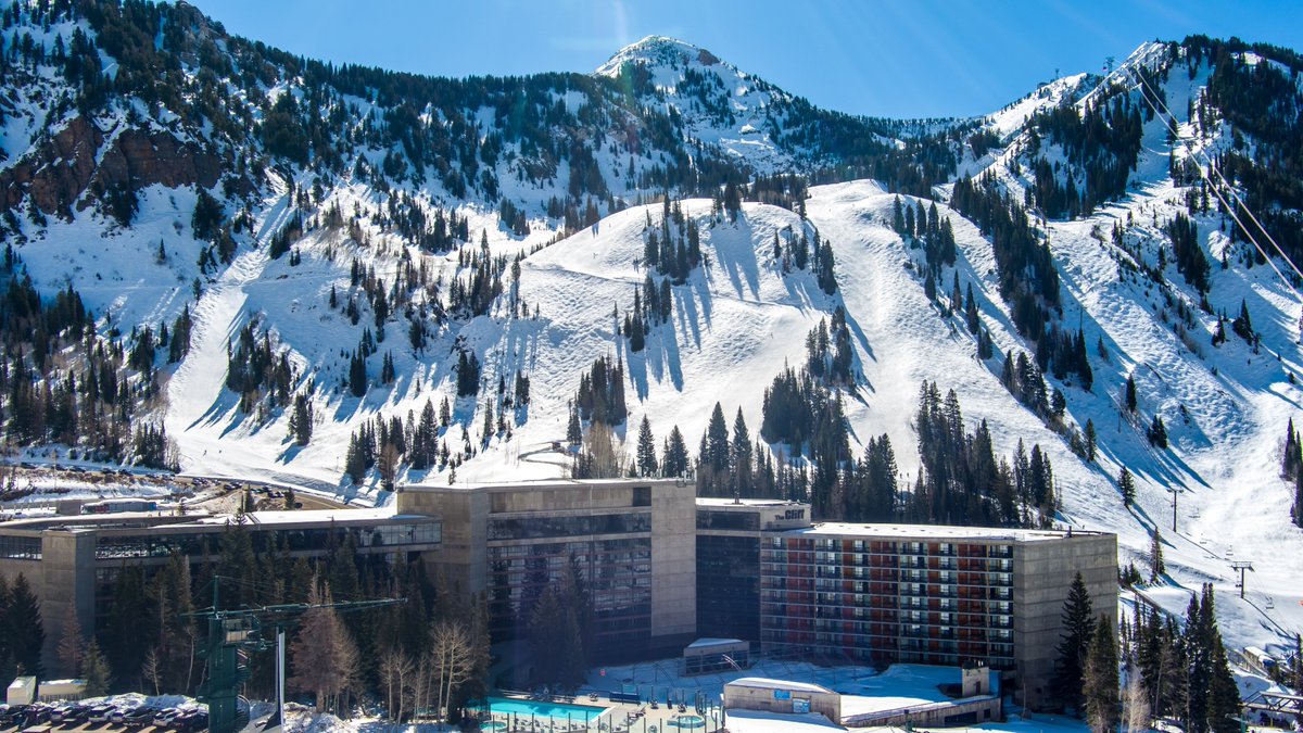 Dan Pope tweet media