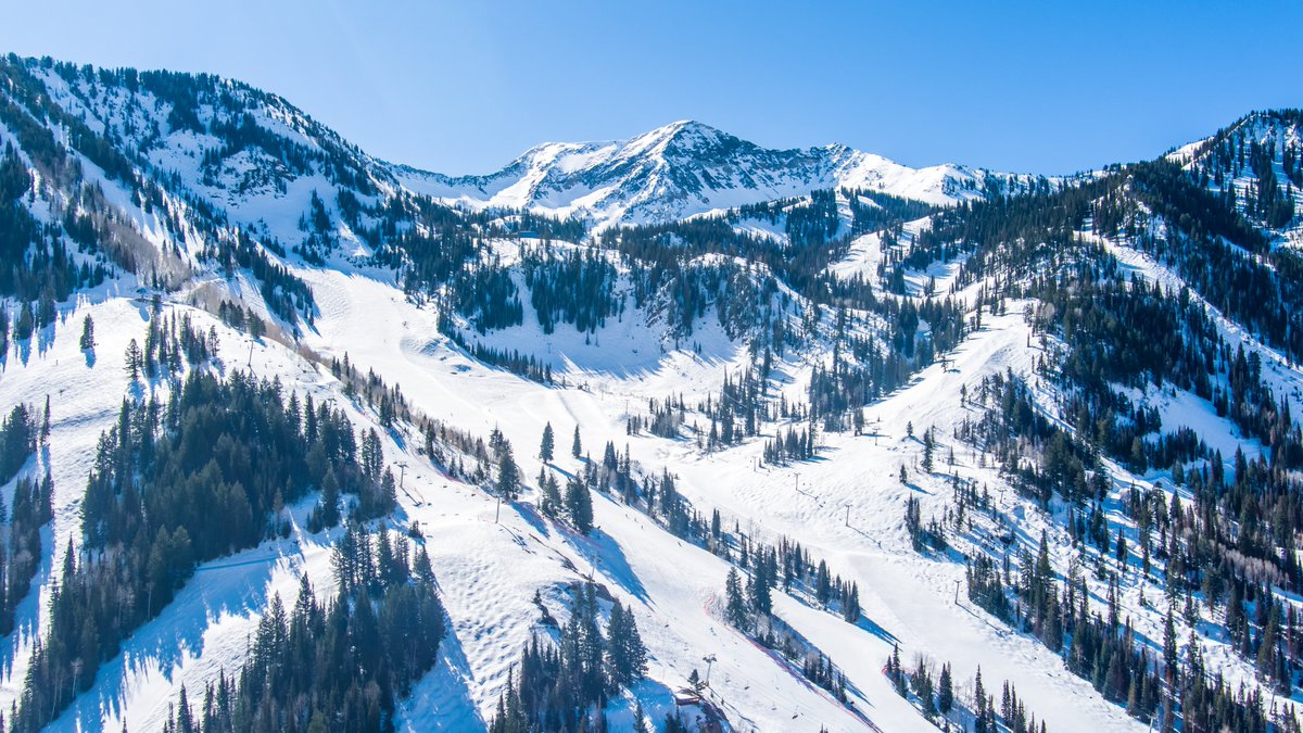 Dan Pope tweet media