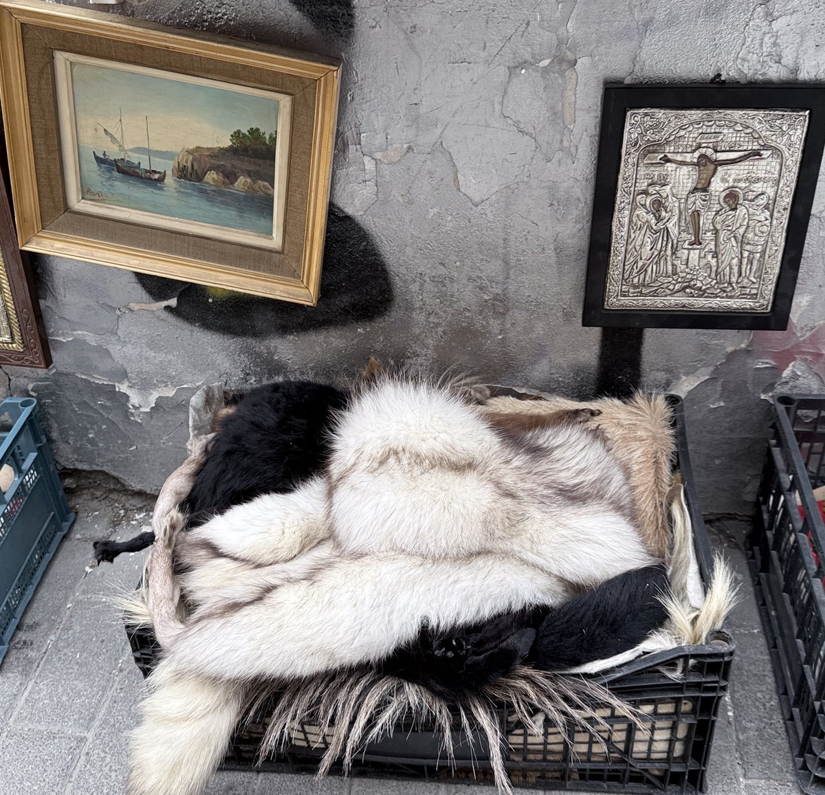 Arielísimo tweet media