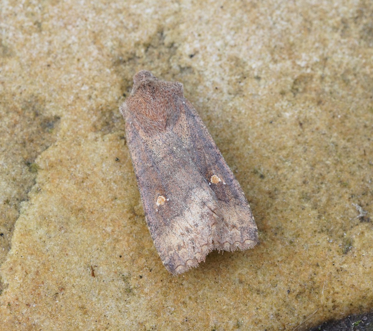 Ben Sale tweet media