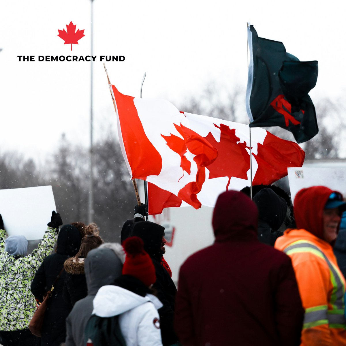 The Democracy Fund tweet media