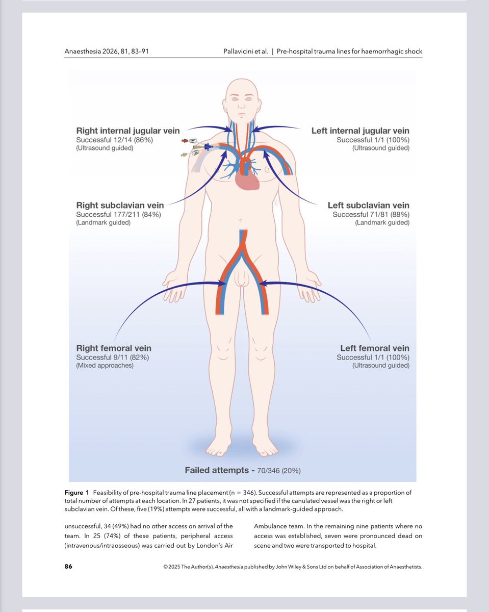 noamaan wilson-baig tweet media