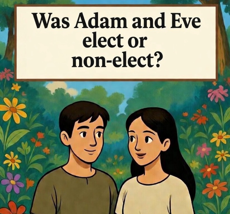 Cheryl Schatz 🩸 tweet media