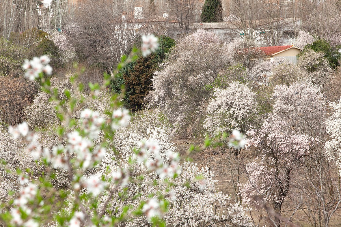 Salvar Hortaleza tweet media