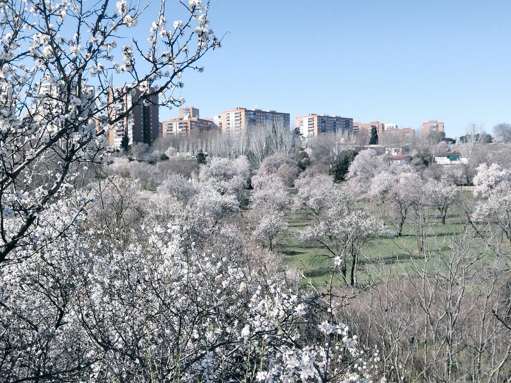 Salvar Hortaleza tweet media