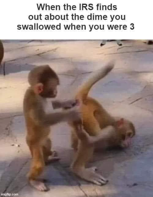 Dub Dubs 🇺🇸🇺🇸🇺🇸 tweet media