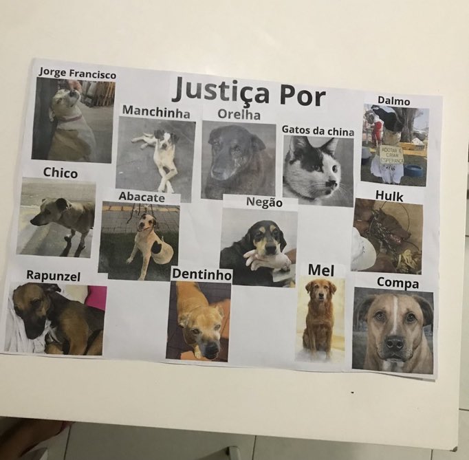 Justiça por todos esses anjos que firam cruelmente assassinatos