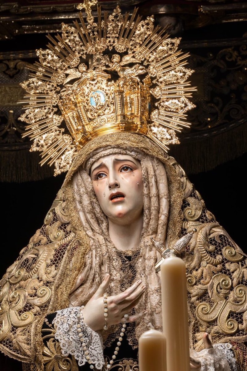 José de León tweet media