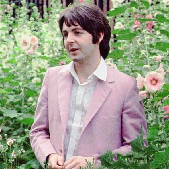 nico archive tweet media