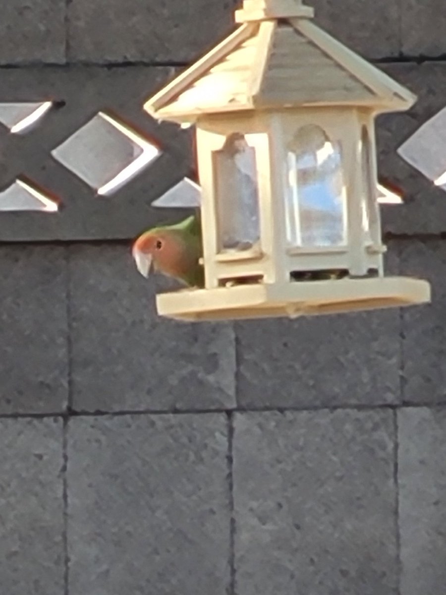 Abe Bleich 🇺🇸 tweet media