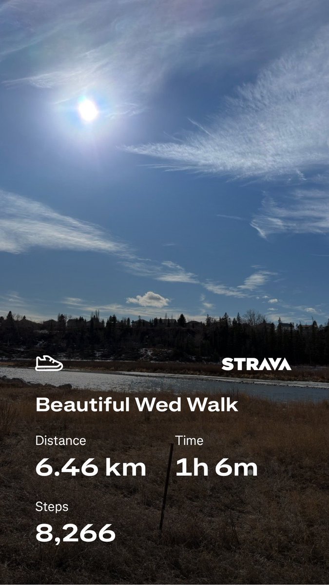 🇯🇲🇧🇿🇨🇦 Kam tweet media