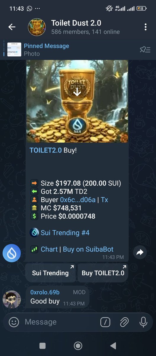 SamSebas tweet media