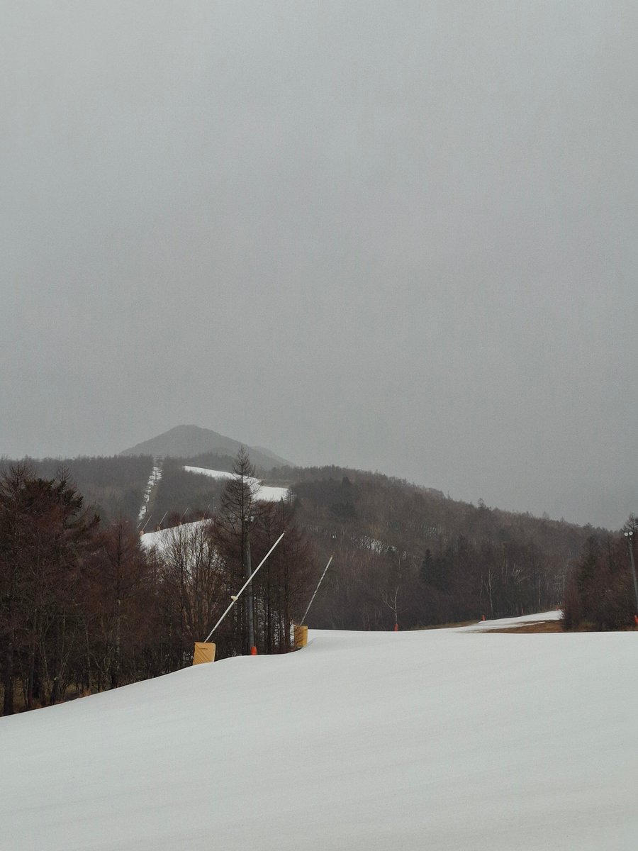 サンメドウズ清里 tweet media