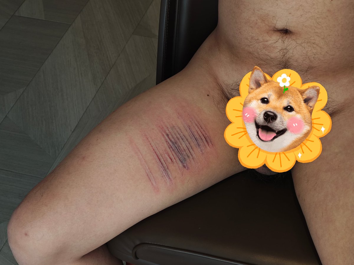 素白不白 tweet media