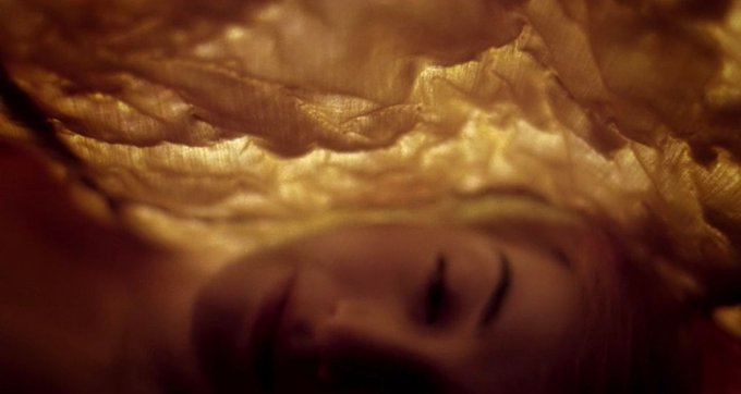 Stephen Gibbons tweet media