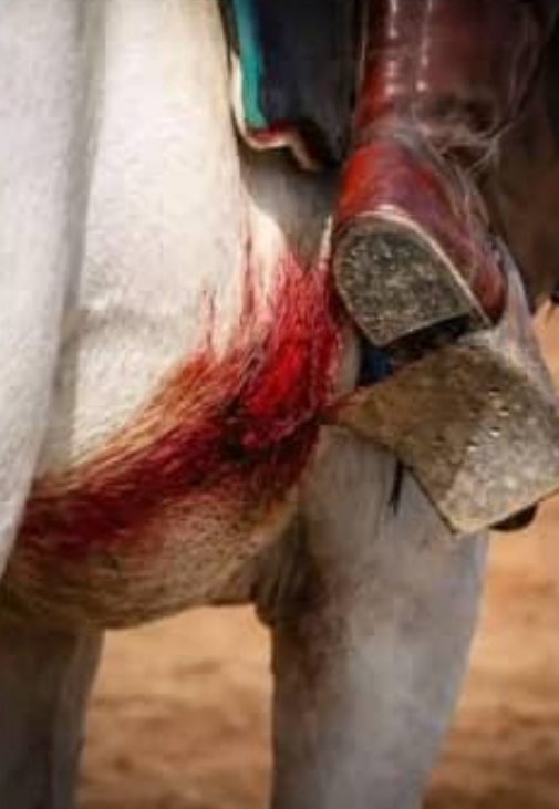 kato Switch tweet media