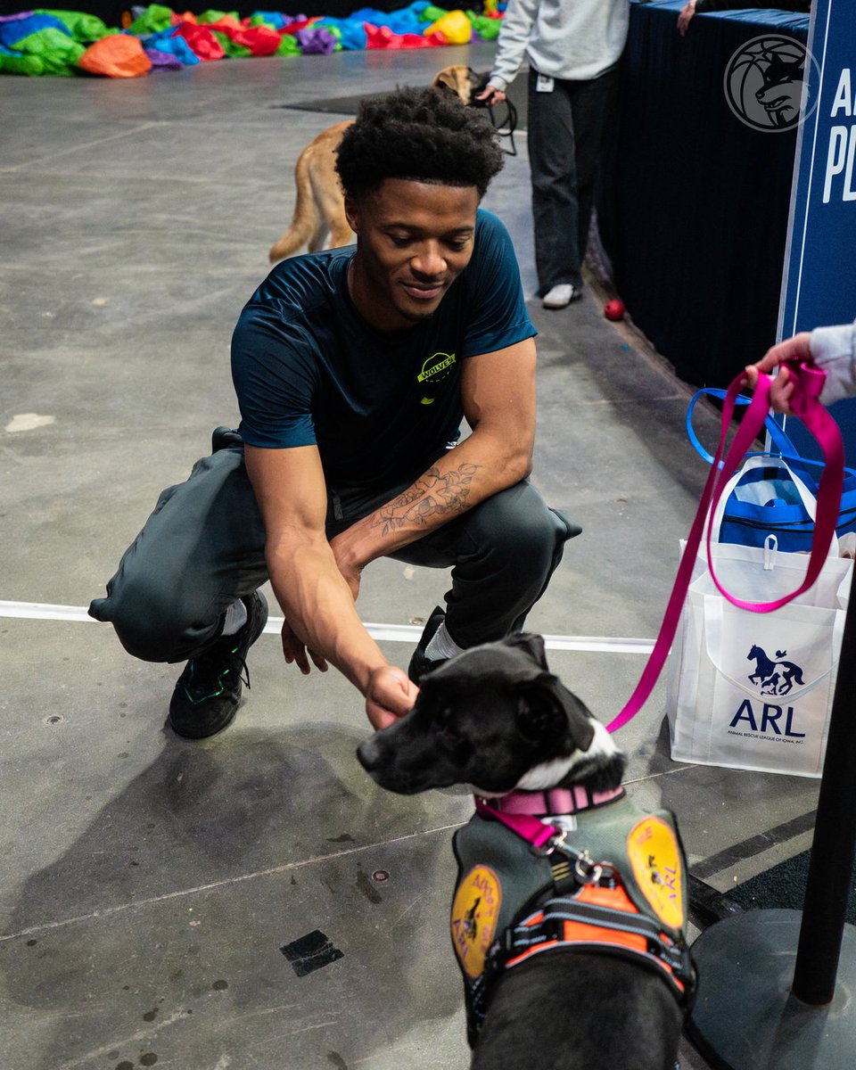 Iowa Wolves tweet media