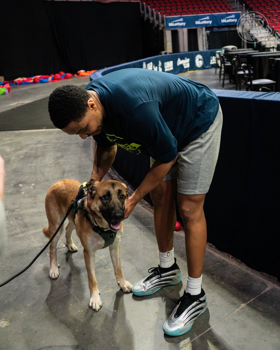 Iowa Wolves tweet media