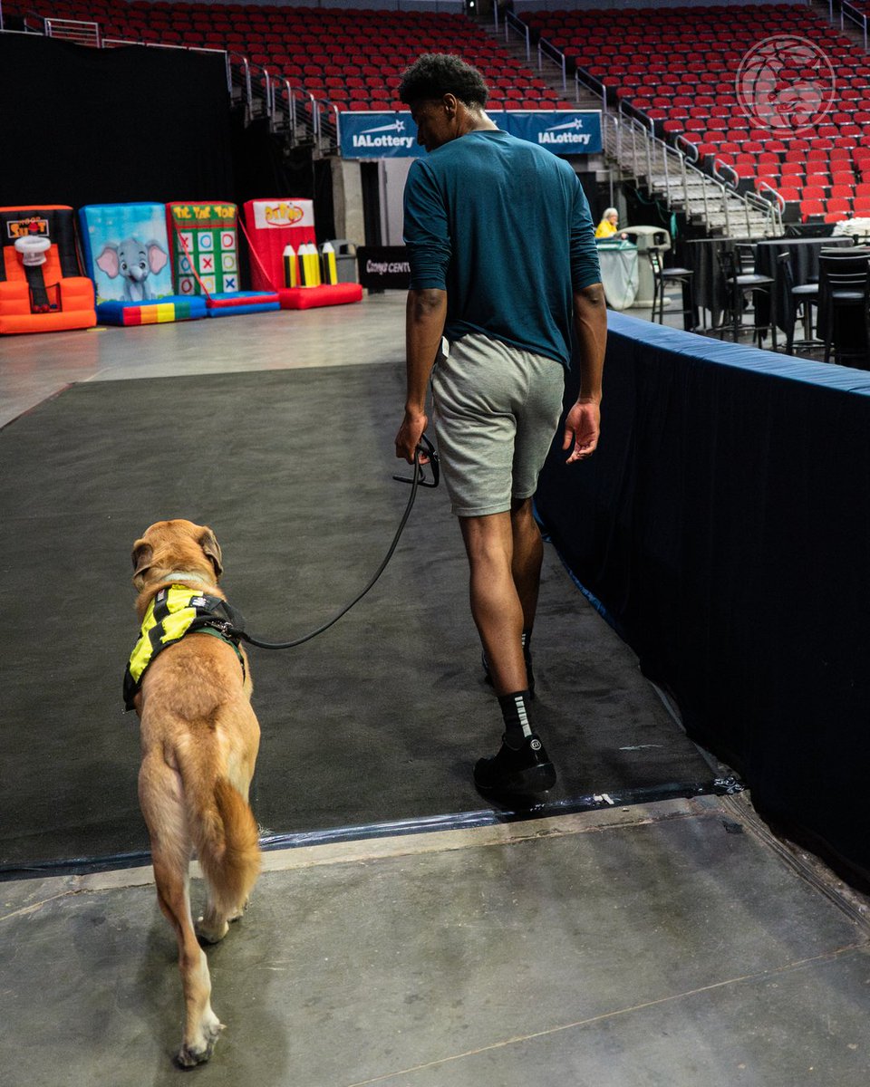 Iowa Wolves tweet media