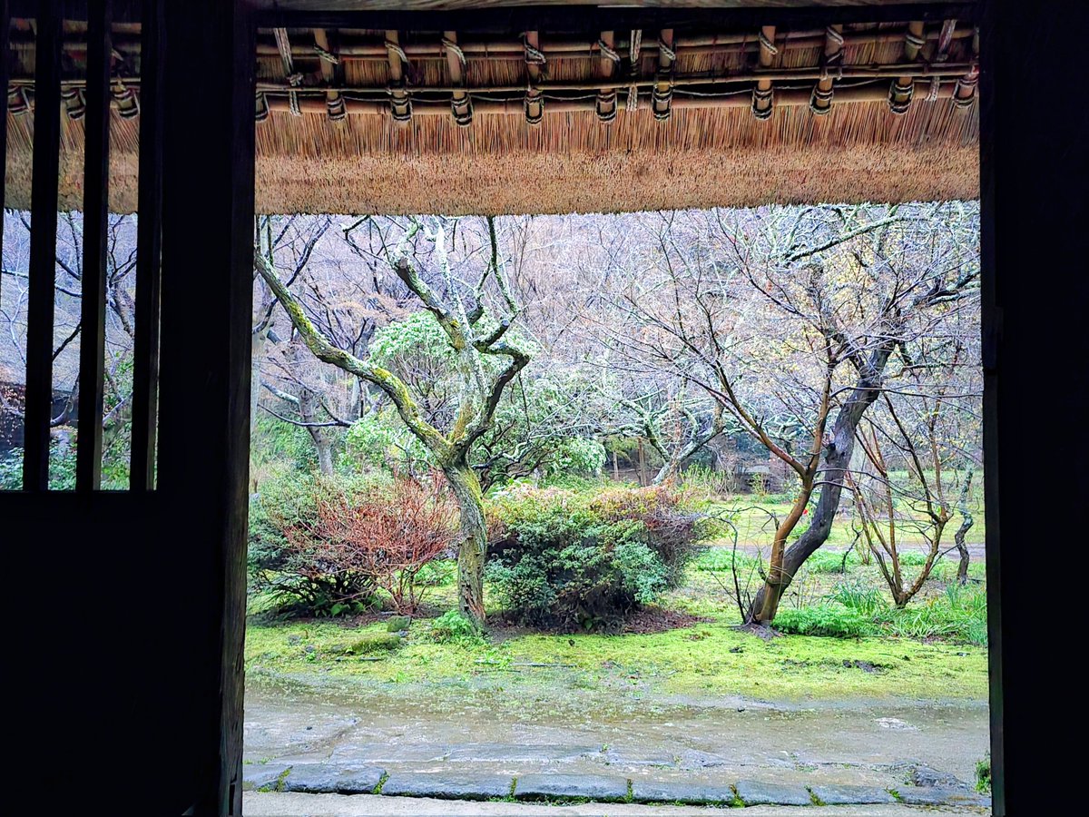 おはようございます。今朝は、やわらかさ感じる雨が降っています。昨日、「苔（こけ）」がテーマの番組取材を受けました。放映決まりましたらお知らせします。皆さま通勤通学いってらっしゃい。鎌倉　覚園寺