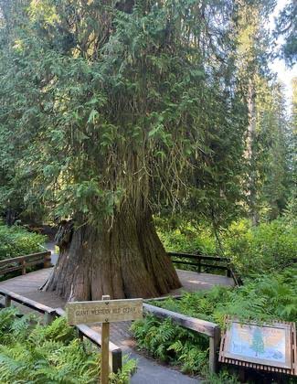 Owen Benjamin 🐻 tweet media