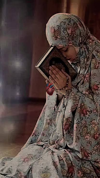 🌺🍃 تمـــارا 🌺🍃 tweet media