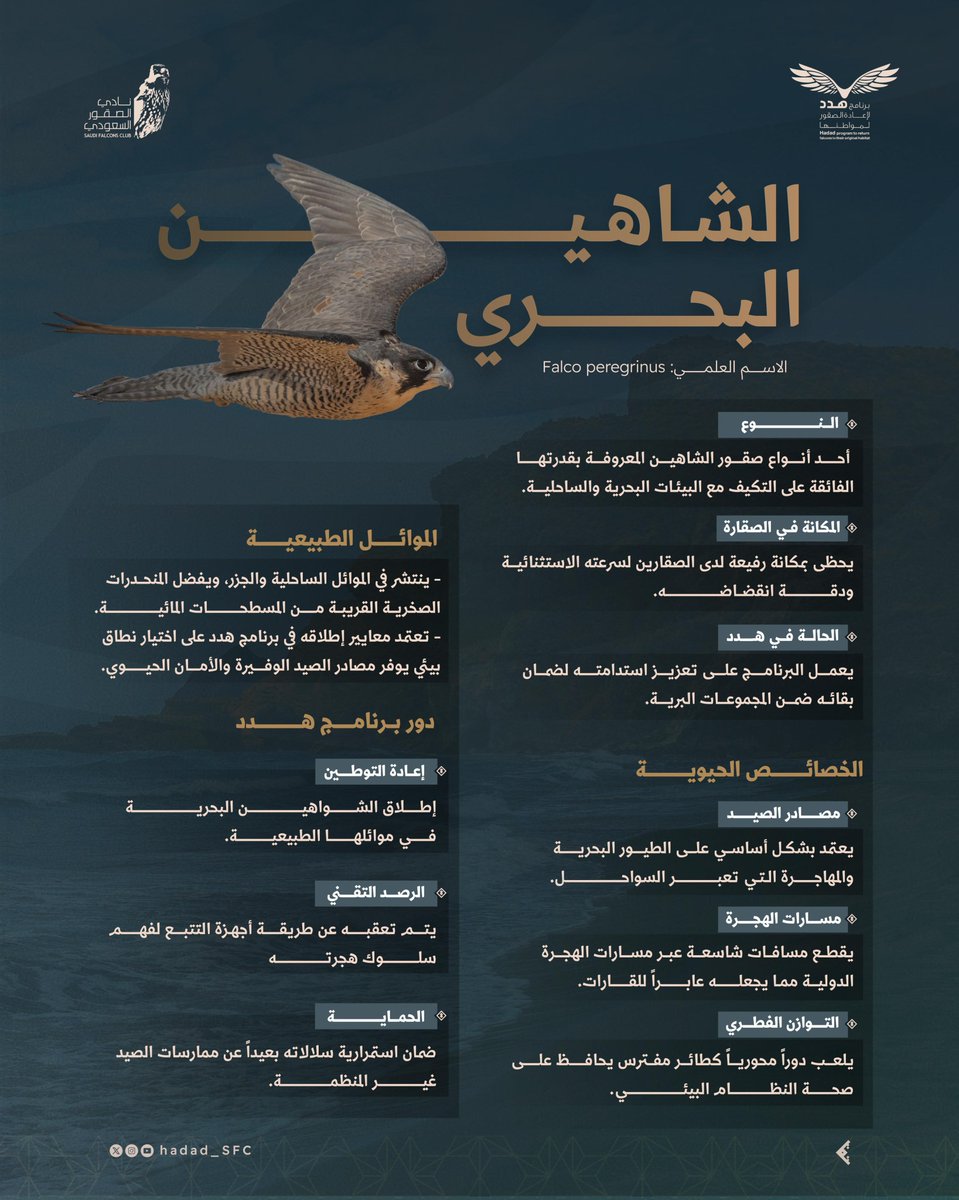 برنامج هدد | Hadad Program tweet media