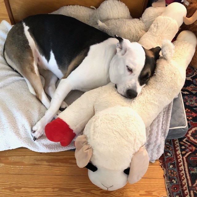 Lisa Burkin tweet media