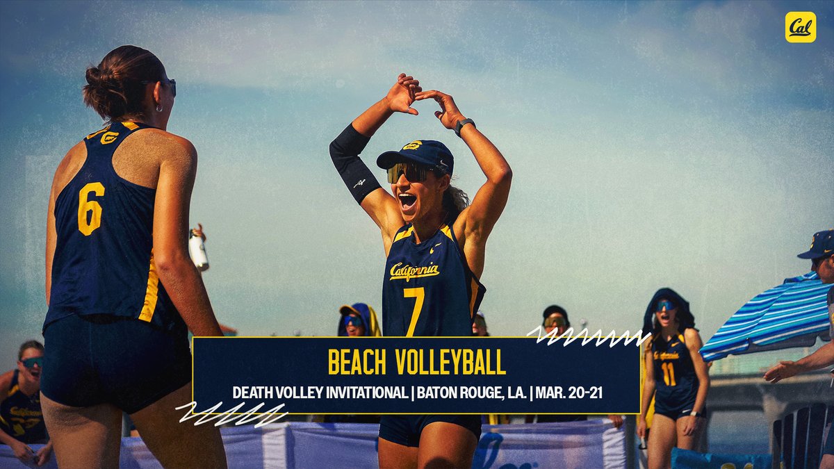 Cal Beach Volleyball tweet media