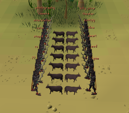 hogcranker92's tweet photo. cow pets for all the alts lol 🤓 https://t.co/X6SKl50mC6