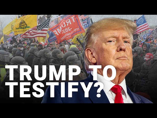 Impeach Trump a 3rd Time! tweet media