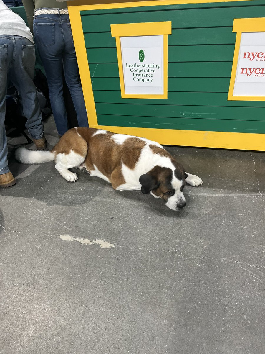 Sam Federman tweet media