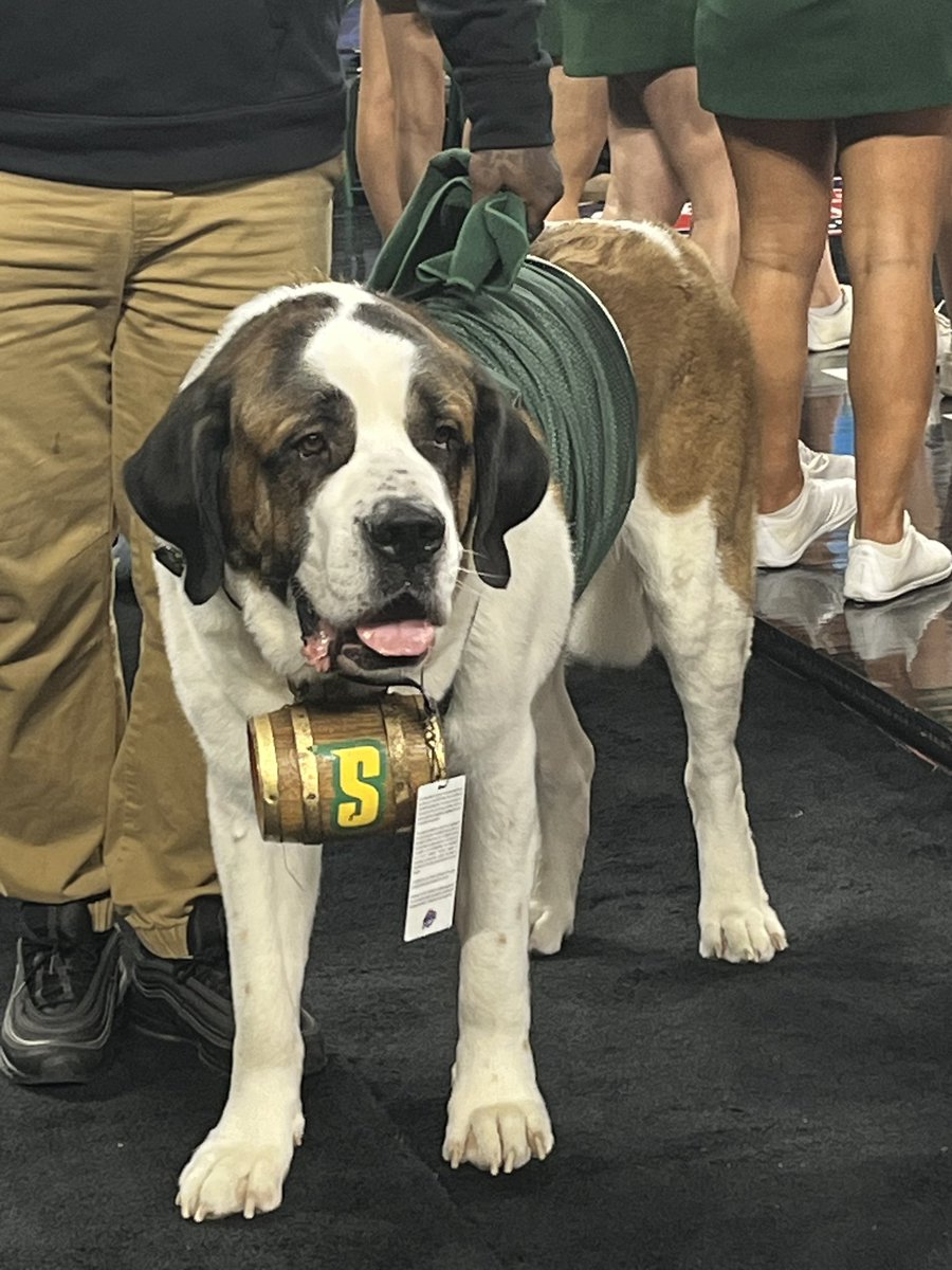 Sam Federman tweet media