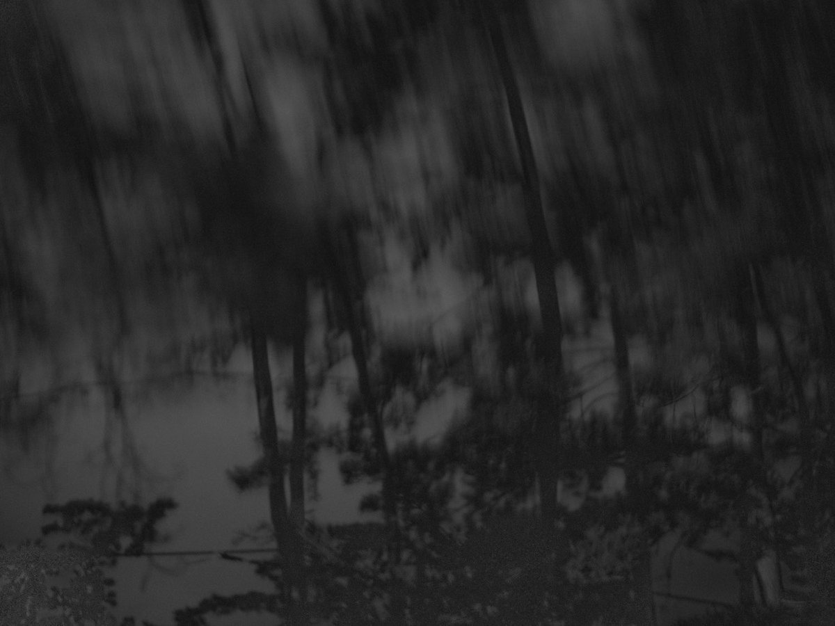 Minehiro Iriguchi 入口 峯広 tweet media