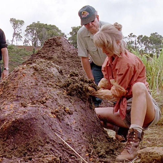 International Cyber Digest tweet media