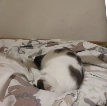 Patrick Bateman tweet media