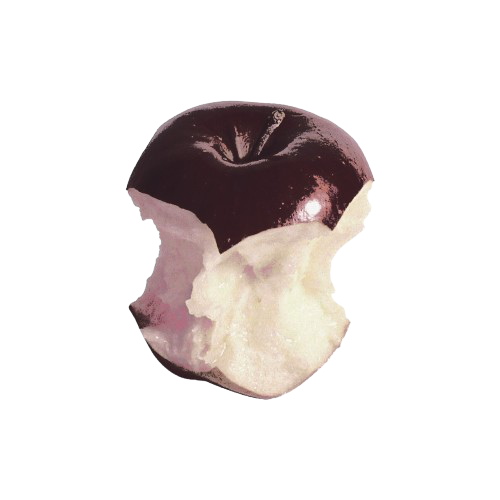 ᅠ ᅠ ᅠ ‍ᅠ 𝗢𝗡𝗟𝗬 ‍ᅠ ᴬᴺᴳᴱᴸ ˚. ᵎᵎ tweet media