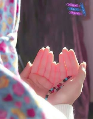 🌺🍃 تمـــارا 🌺🍃 tweet media