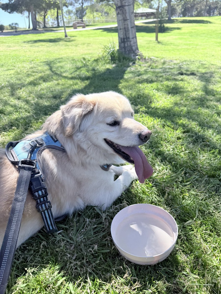 Jen 🍋 LemonKiwi tweet media